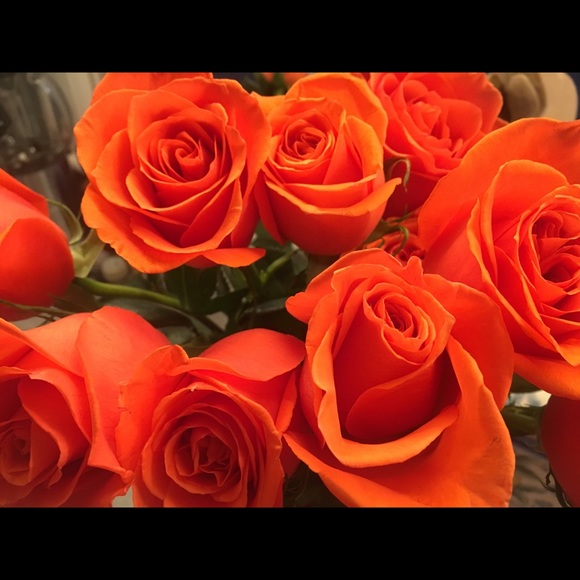 Meet your Posher, Psg - Picture 1 of 1